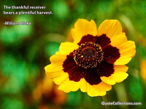 William Blake Quotes5